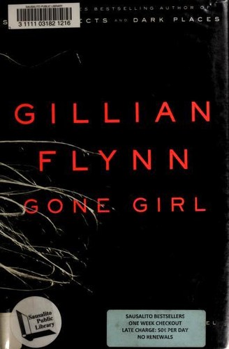 Rapariga Desaparecida